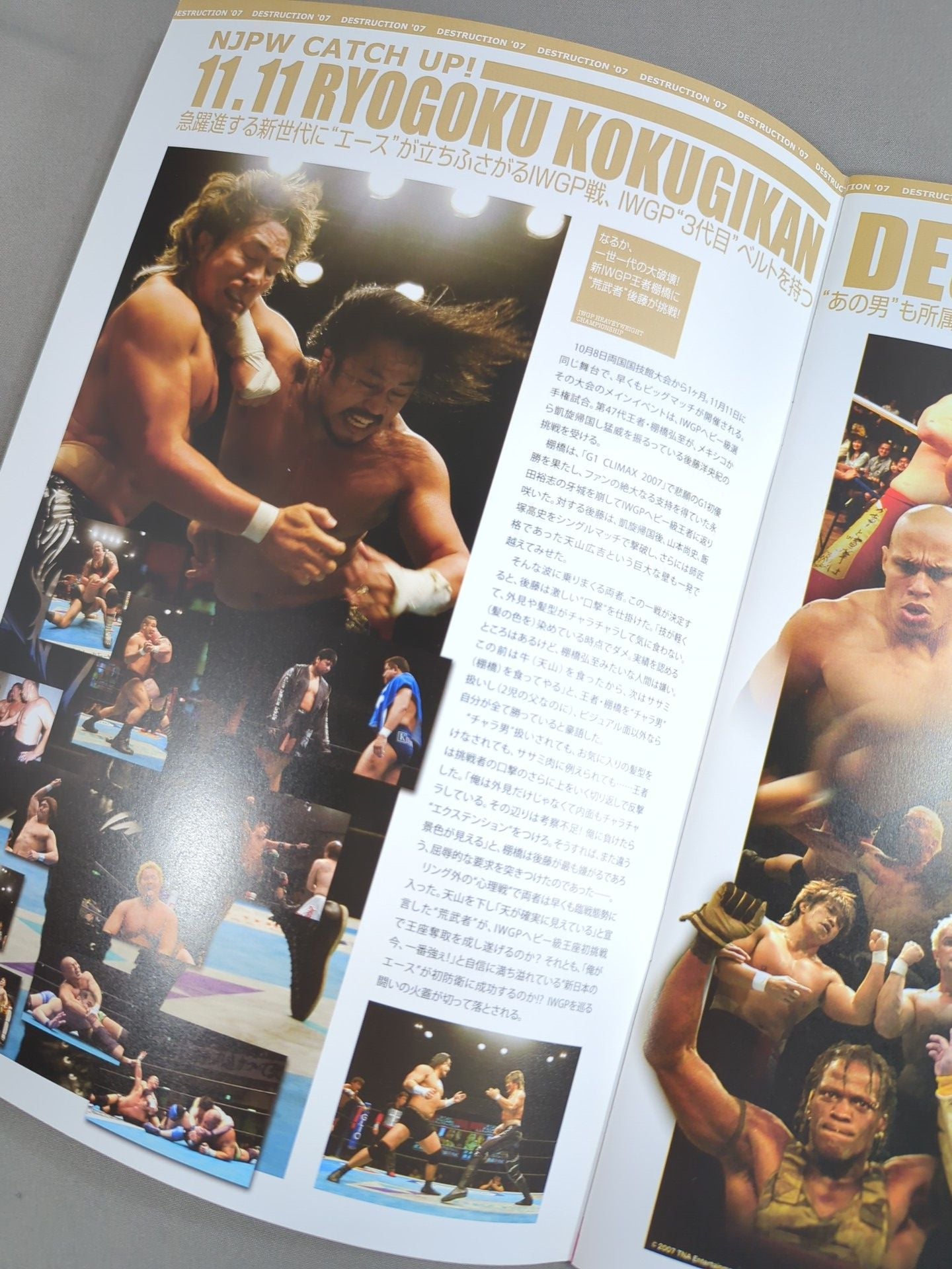 NJPW OFFICIAL MAGAZINE 2007 SPECIAL ISSUE