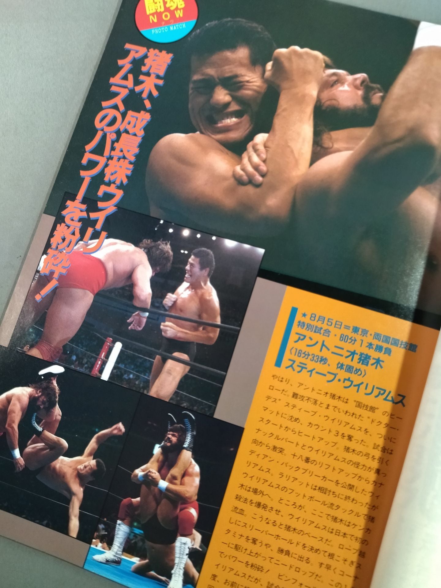 Fighting Spirit Special 27