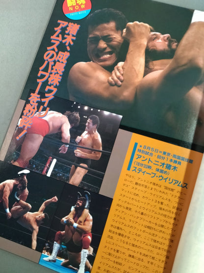 Fighting Spirit Special 27