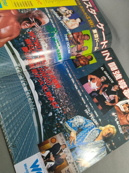 Fighting Spirit Special 65