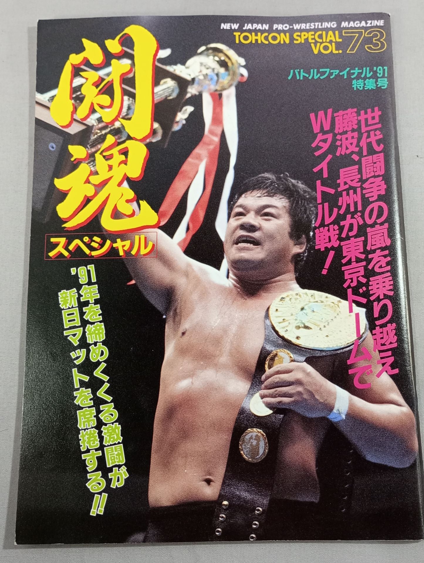 Fighting Spirit Special 73