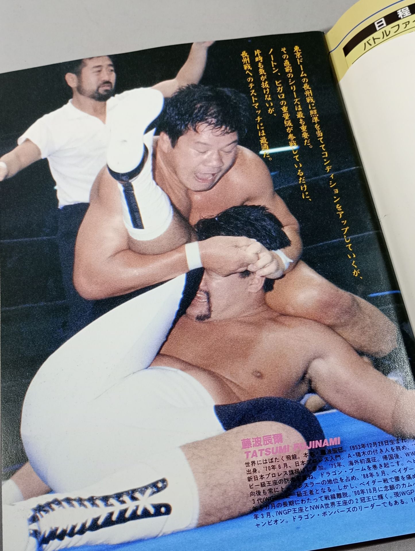 Fighting Spirit Special 73