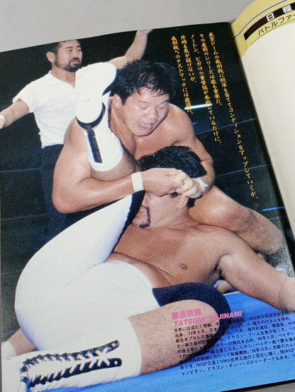 Fighting Spirit Special 73