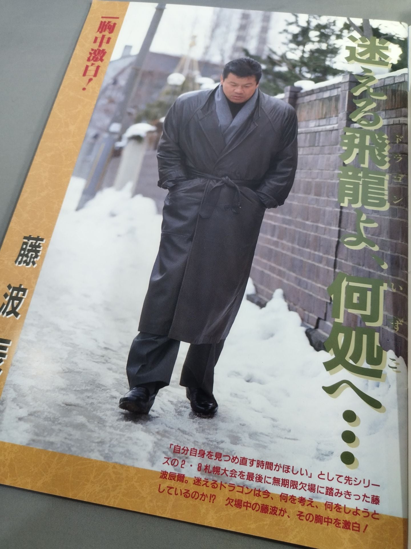 Fighting Spirit Special 75