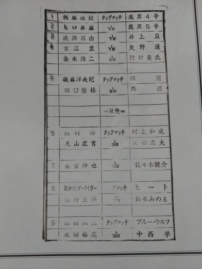 【Tanaka Linguana Hand Signed Autograph 】Fighting Spirit Special 184