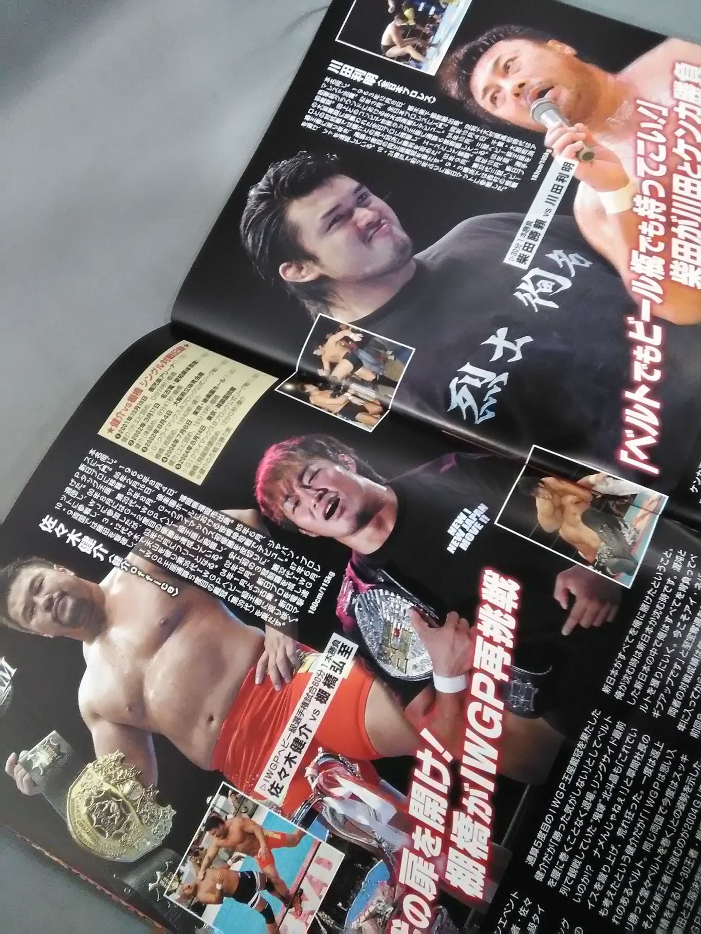Fighting Spirit Special Special Issue CHONO STREAM