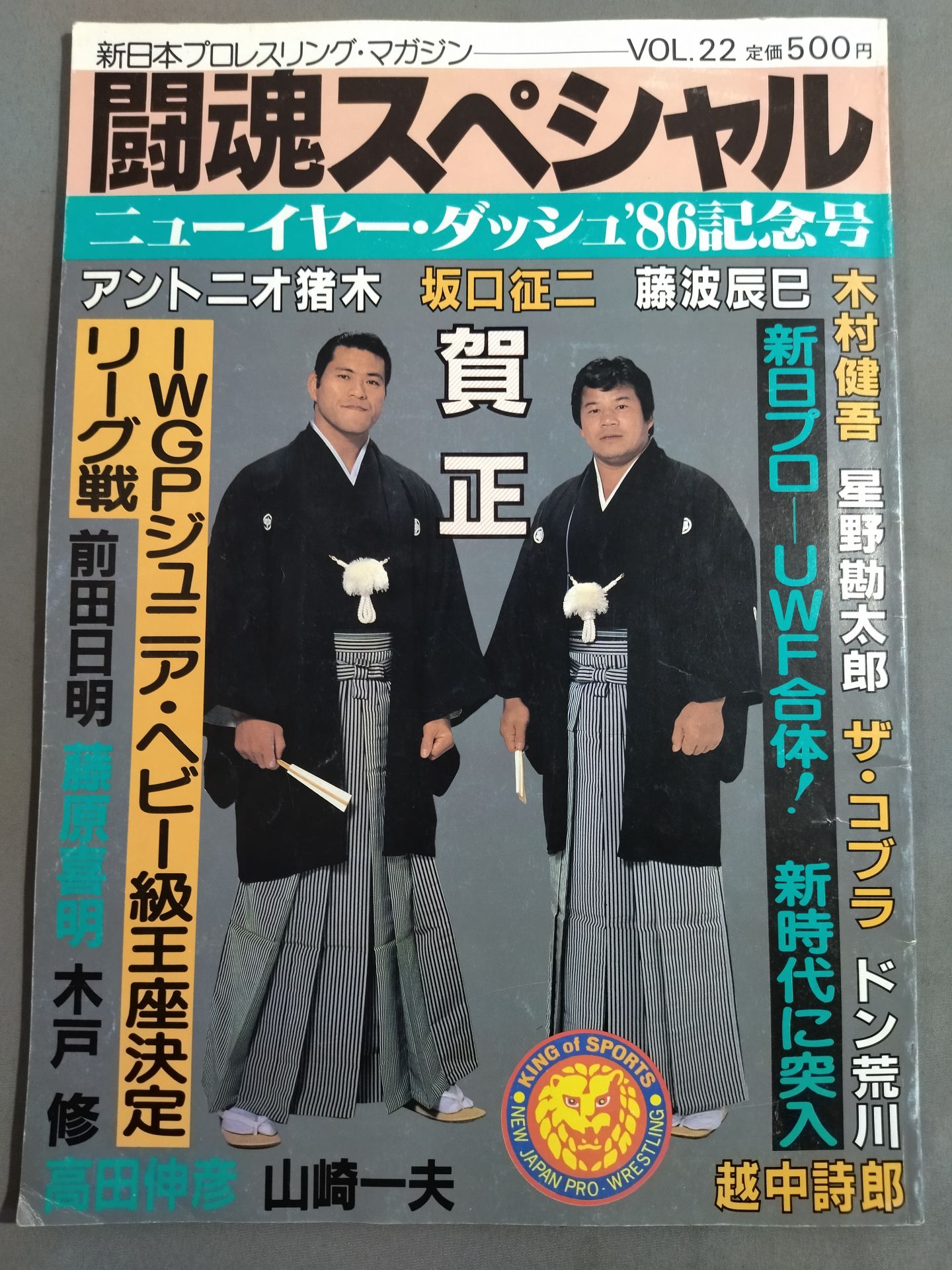 Fighting Spirit Special 22