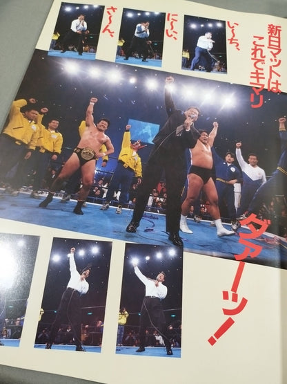 Fighting Spirit Special 65