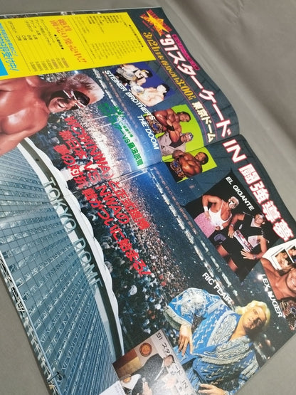 Fighting Spirit Special 65