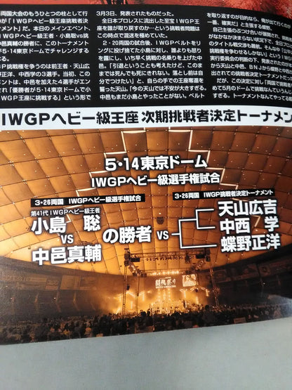 Fighting Spirit Special Special Issue NEXESS