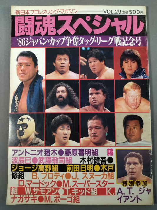 Fighting Spirit Special 29