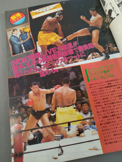 Fighting Spirit Special 29
