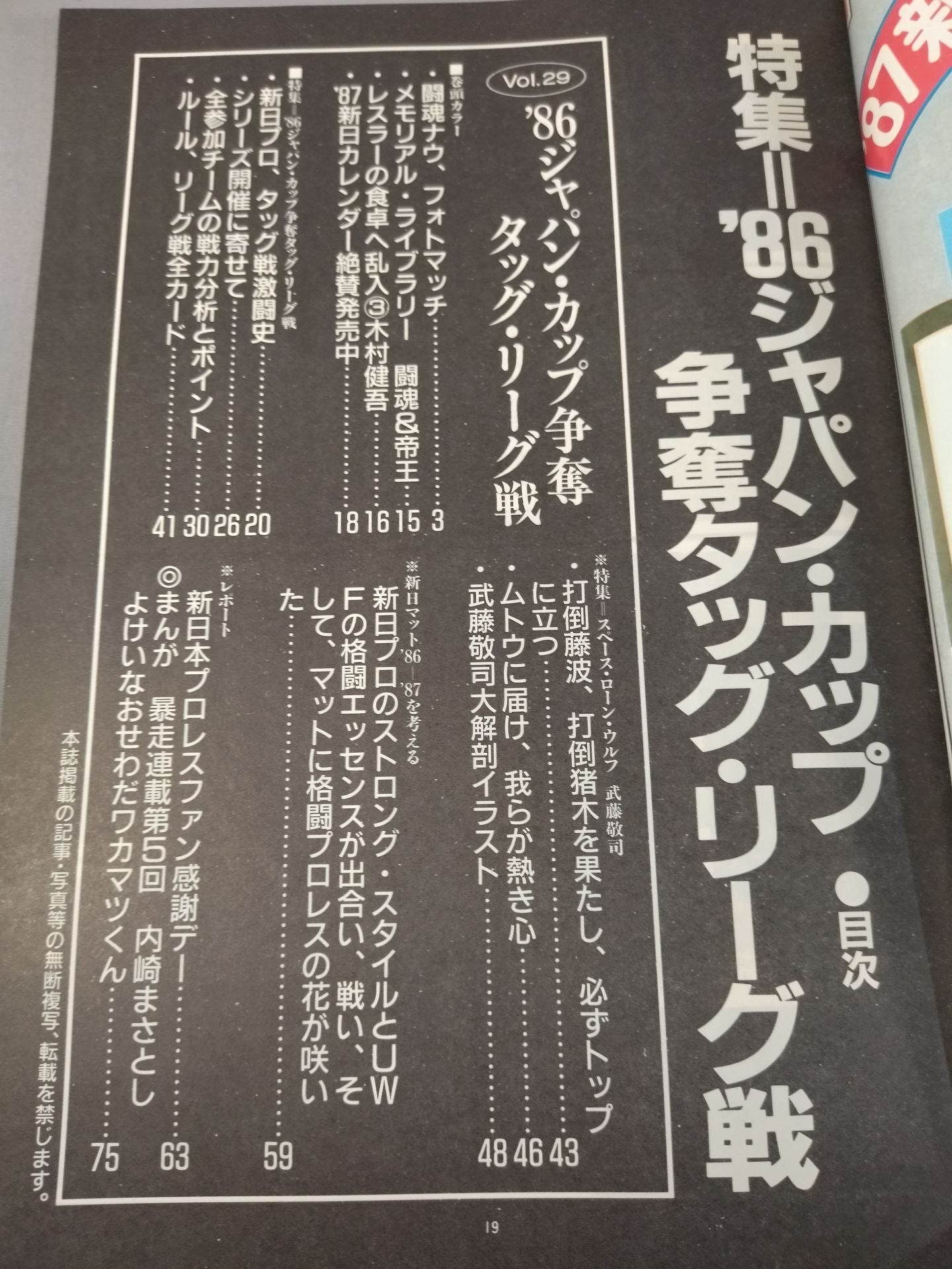 Fighting Spirit Special 29