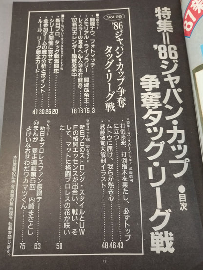 Fighting Spirit Special 29