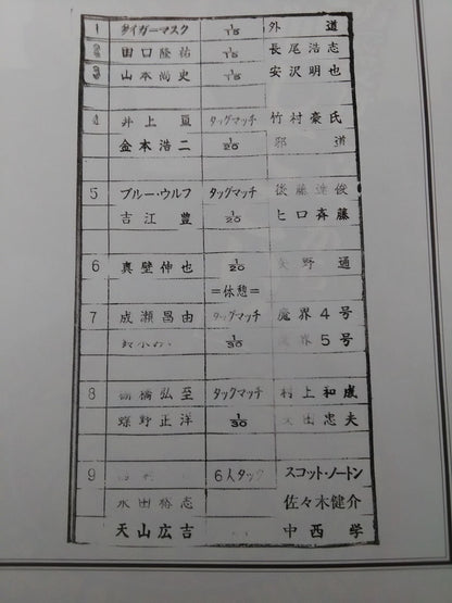 【Tanaka Linguana Hand Signed Autograph 】Fighting Spirit Special 184