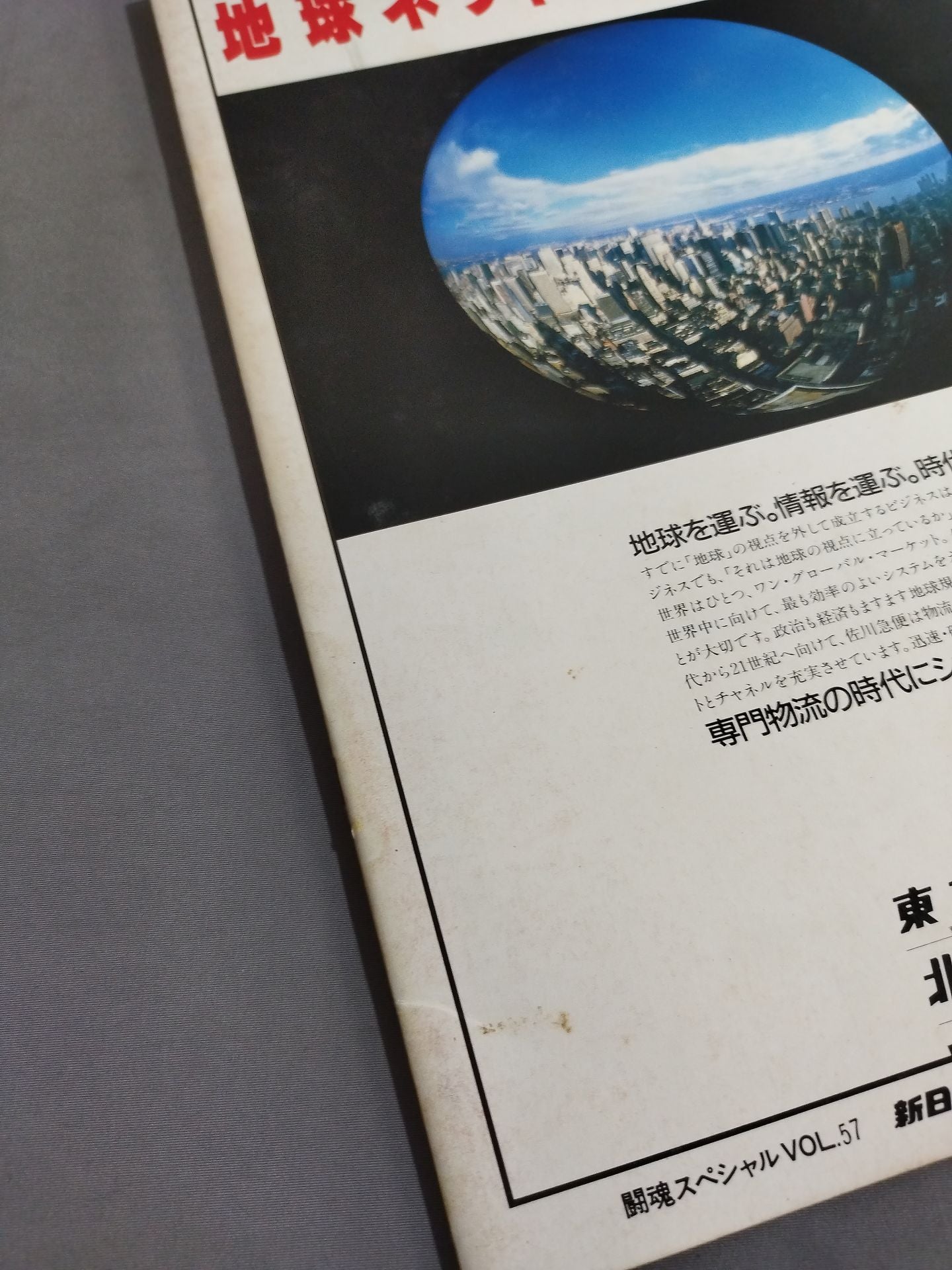 Fighting Spirit Special 57