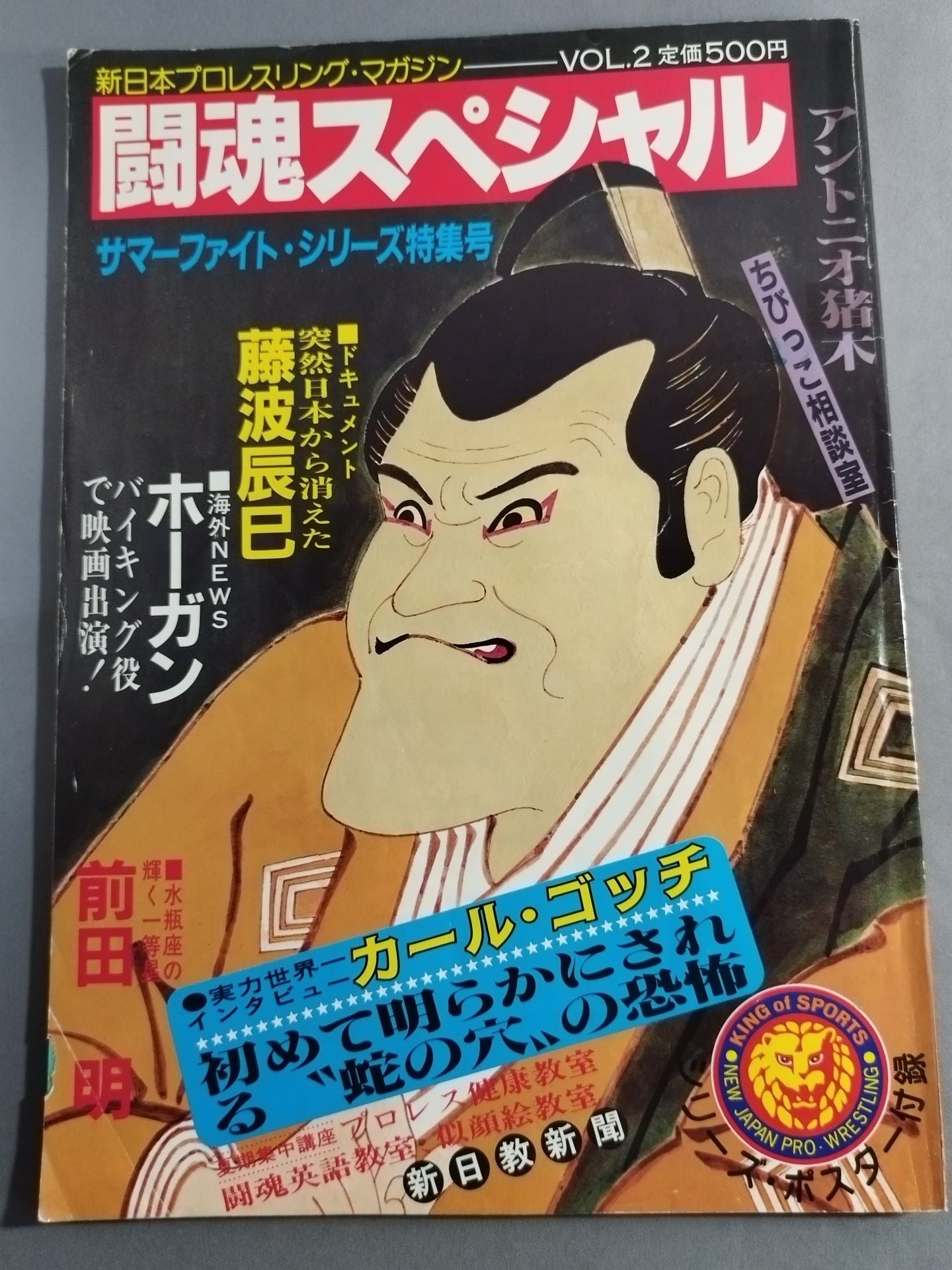 Fighting Spirit Special 2