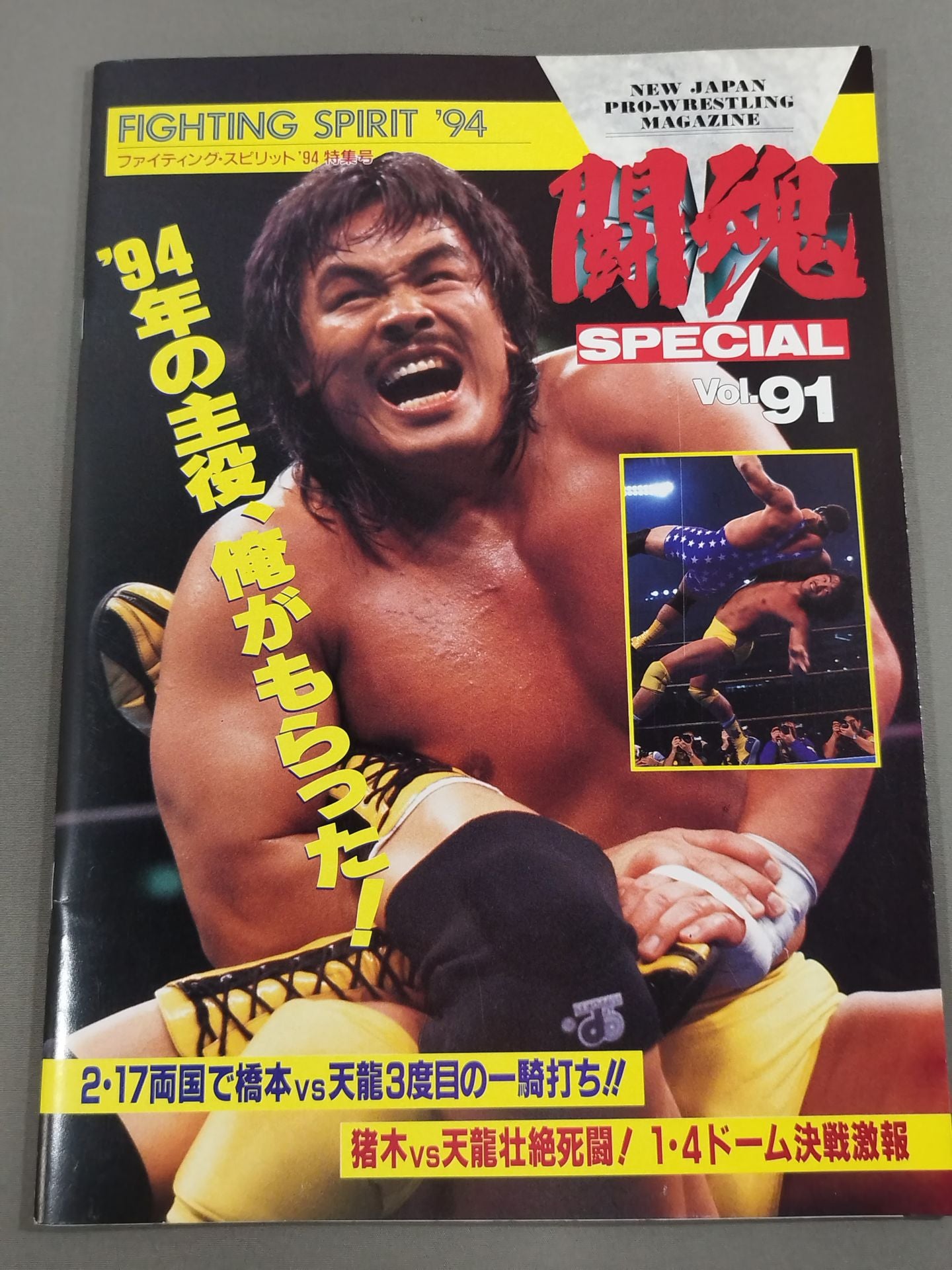 Fighting Spirit Special 91