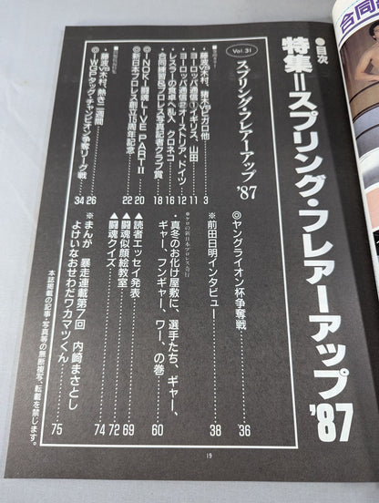 Fighting Spirit Special 31
