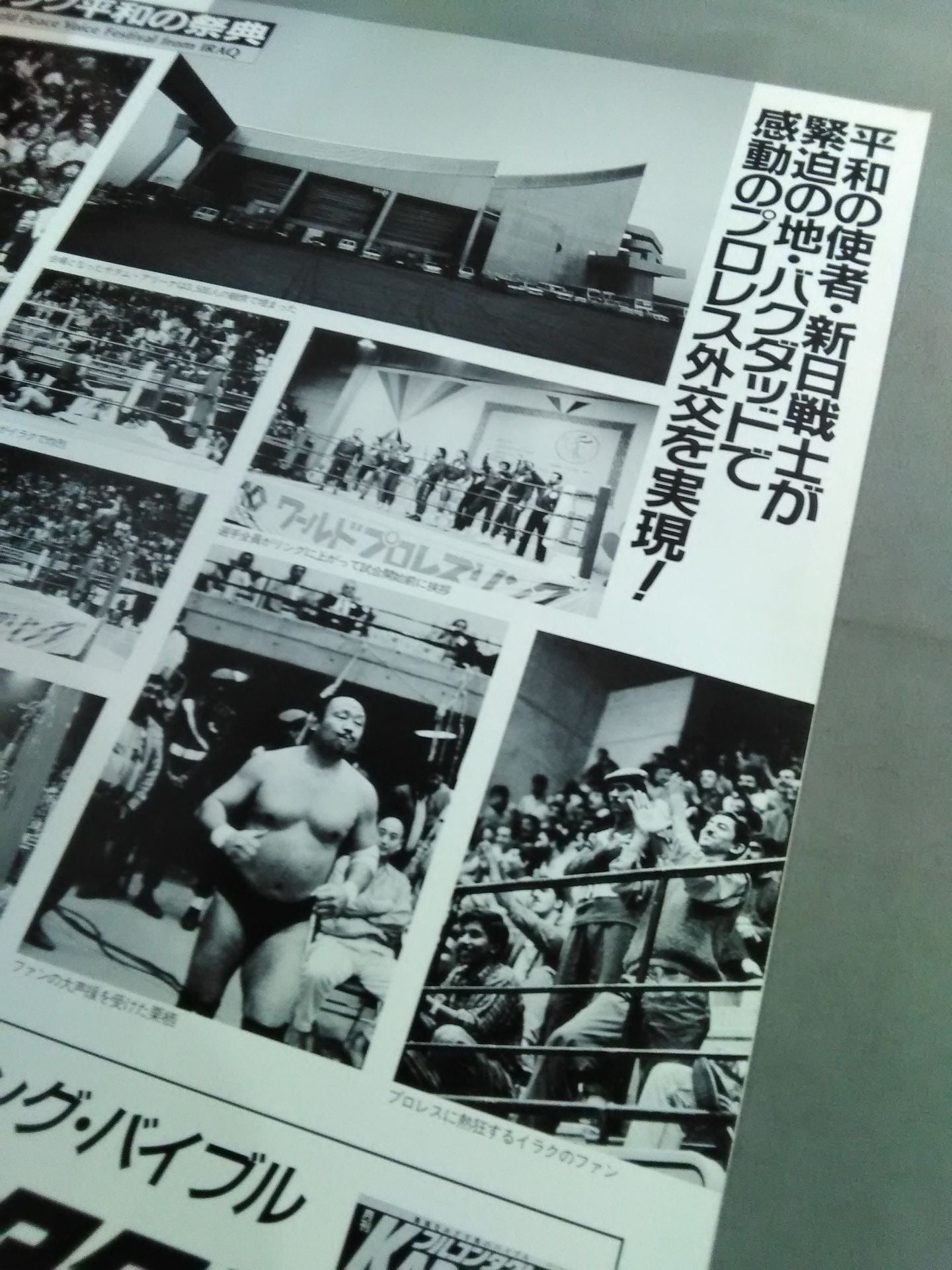 Fighting Spirit Special 64