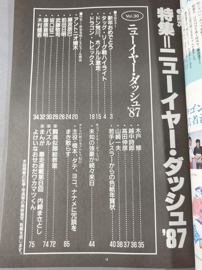 Fighting Spirit Special 30