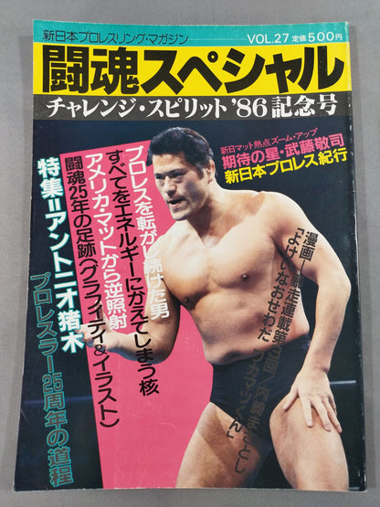 Fighting Spirit Special 27