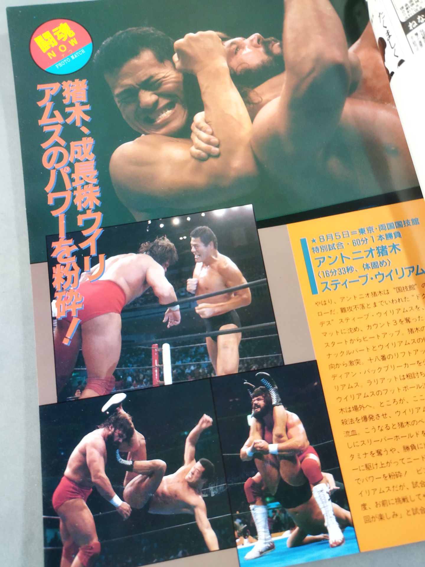 Fighting Spirit Special 27