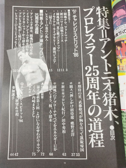 Fighting Spirit Special 27