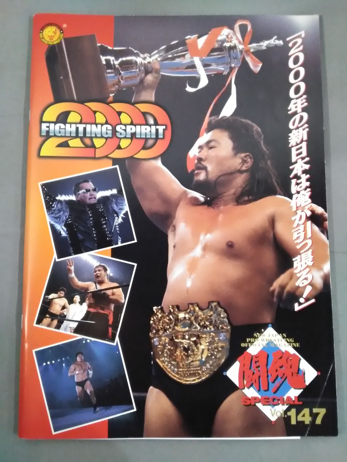 Fighting Spirit Special 147