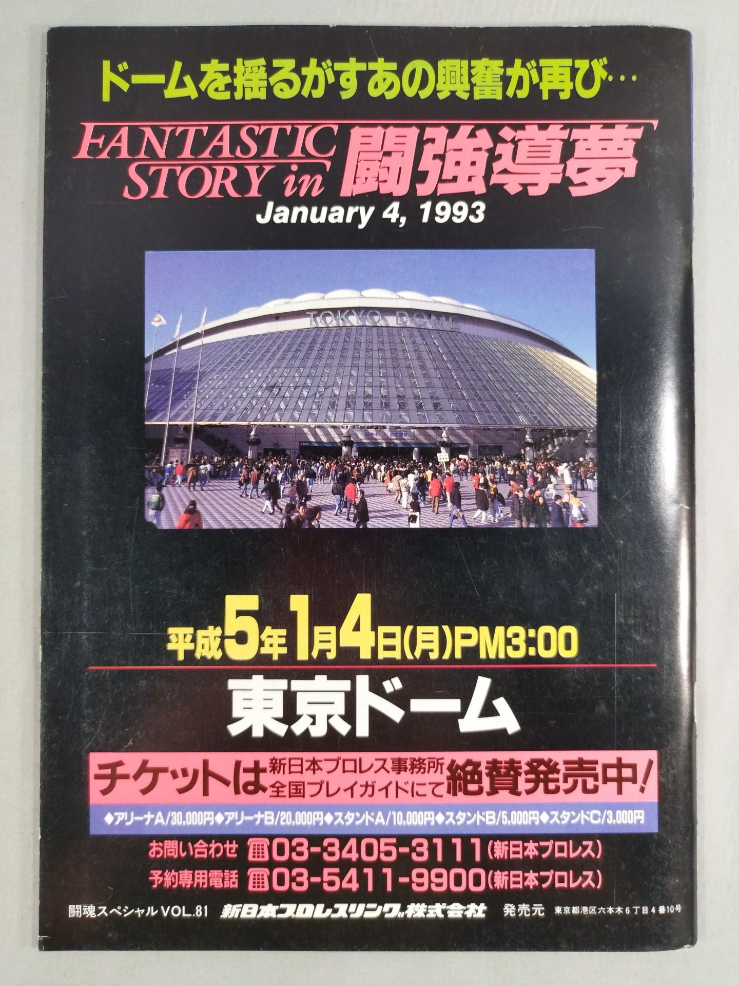 Fighting Spirit Special 81