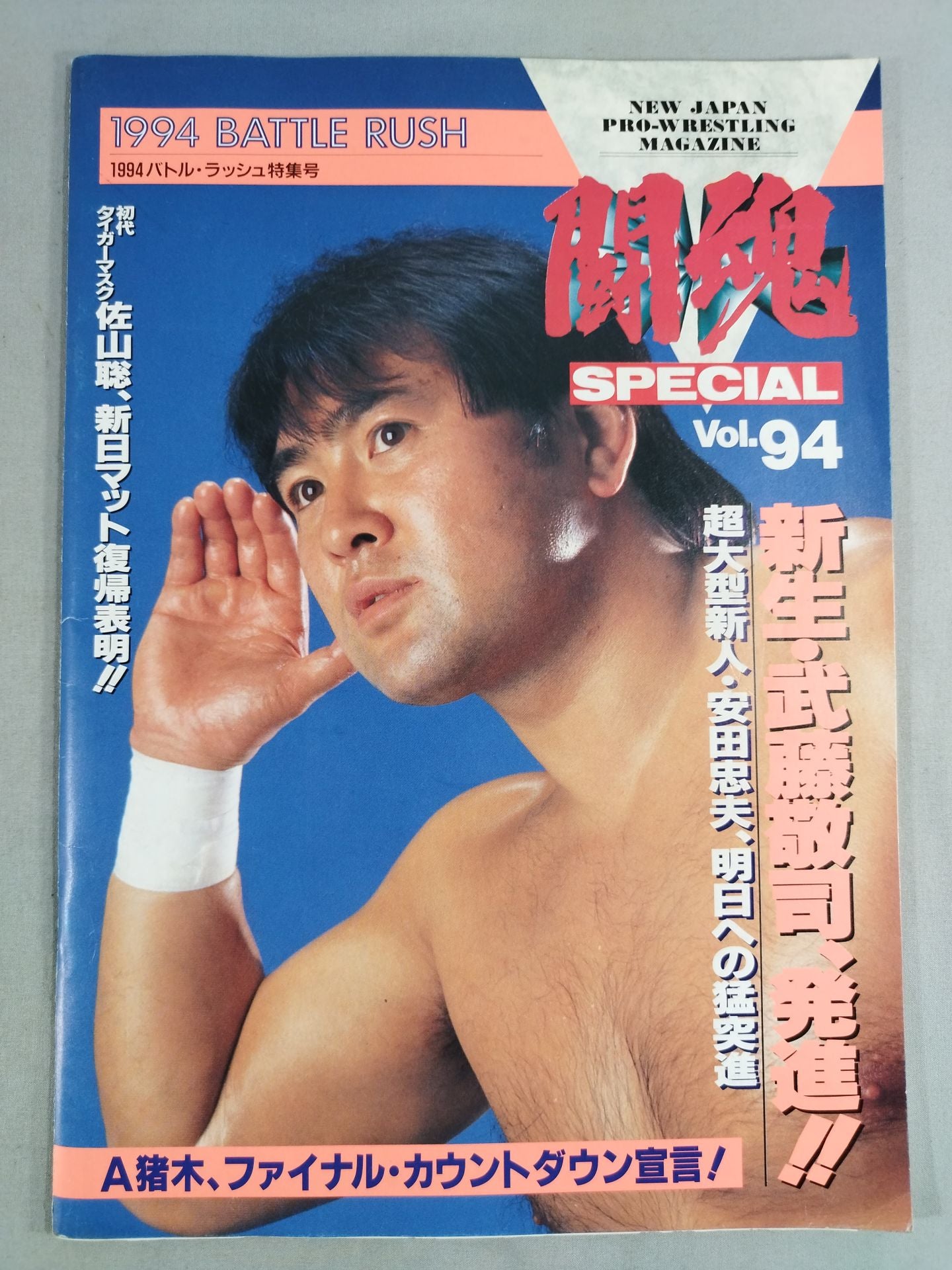 Fighting Spirit Special 94
