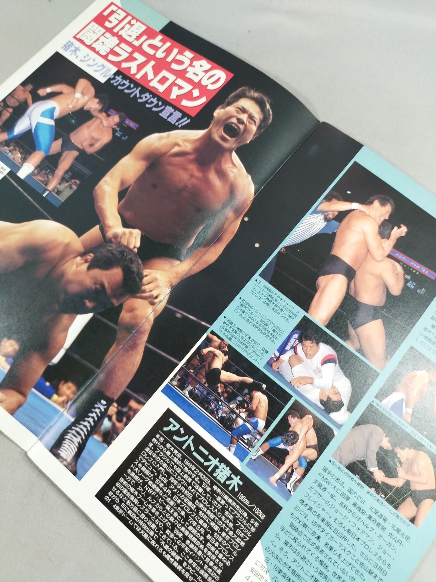 Fighting Spirit Special 94