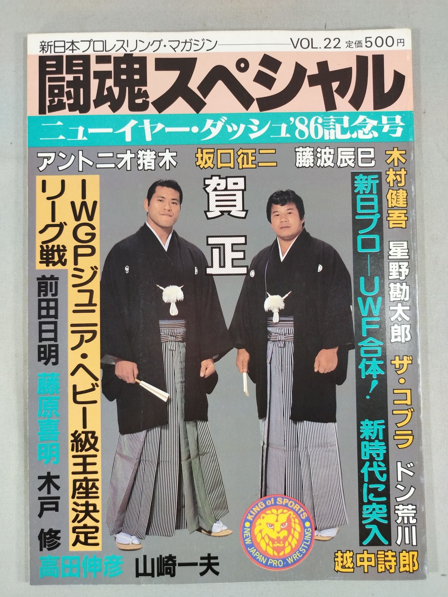 Fighting Spirit Special 22