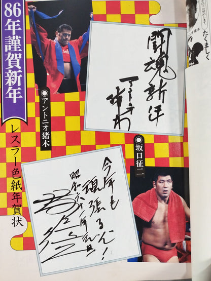 Fighting Spirit Special 22