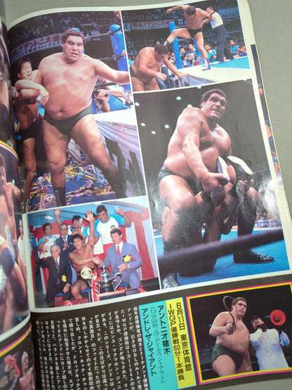 Fighting Spirit Special 18