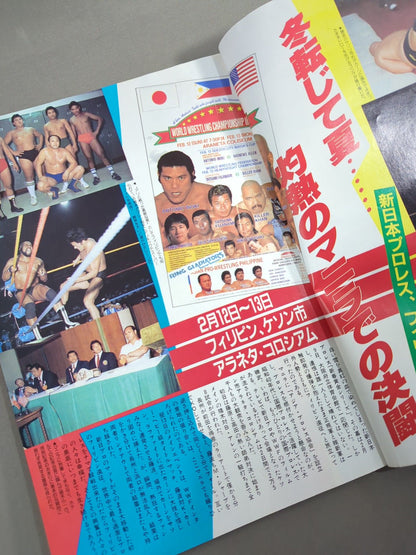 Fighting Spirit Special 8