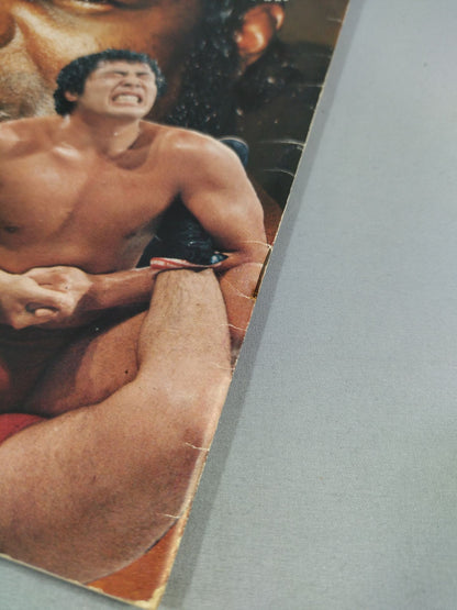 76ブラックパワーシリーズ