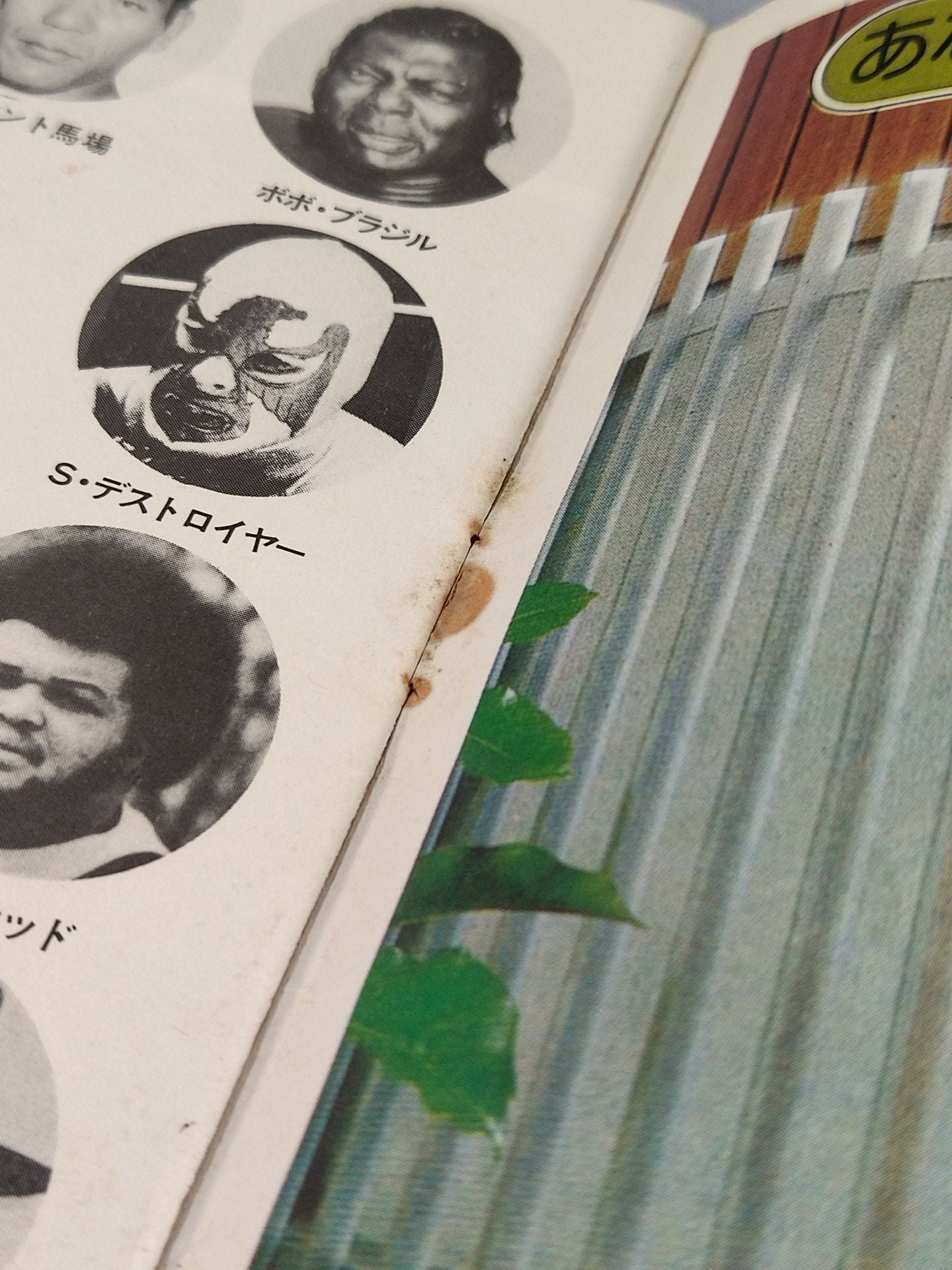 76ブラックパワーシリーズ