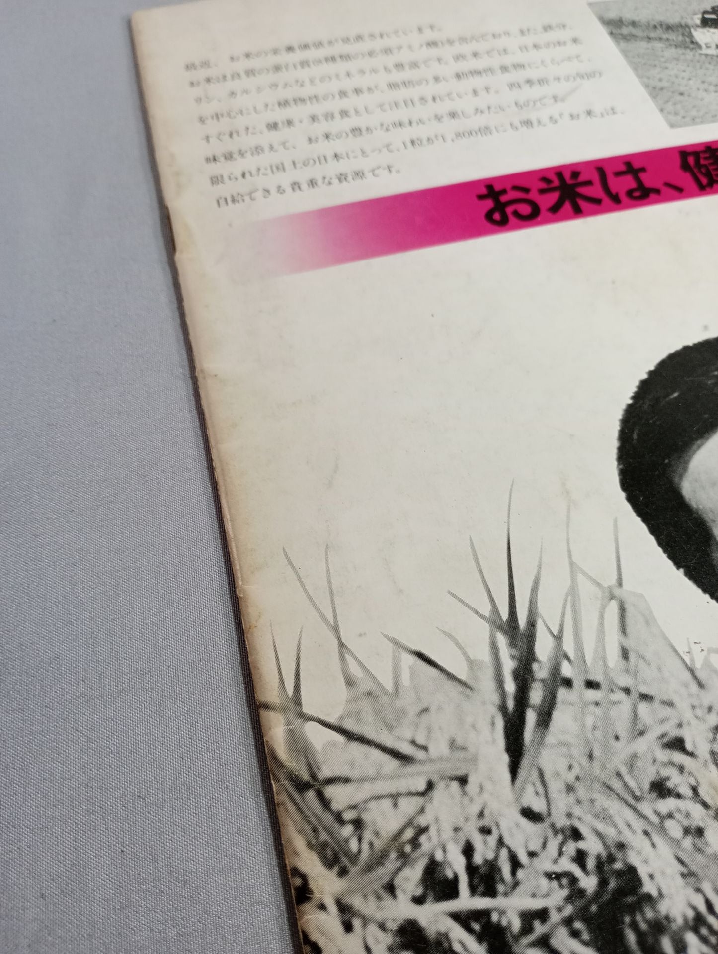 ★ Baba vs Butcher PWF ★ 79 Black Power Series