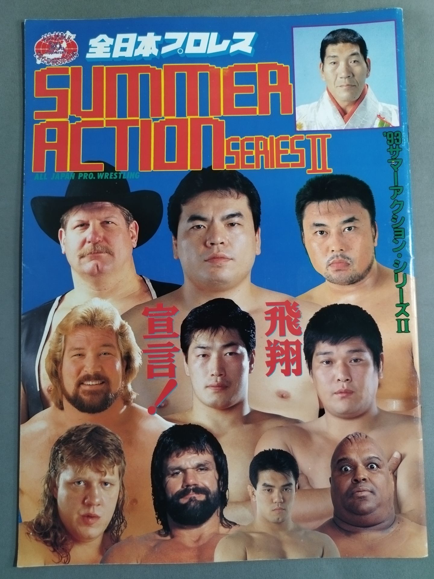 93 Summer Action Series II: Declaration of Flight!
