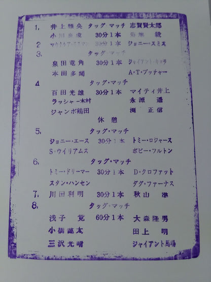 95 New Year Giant Series / Spring Festival