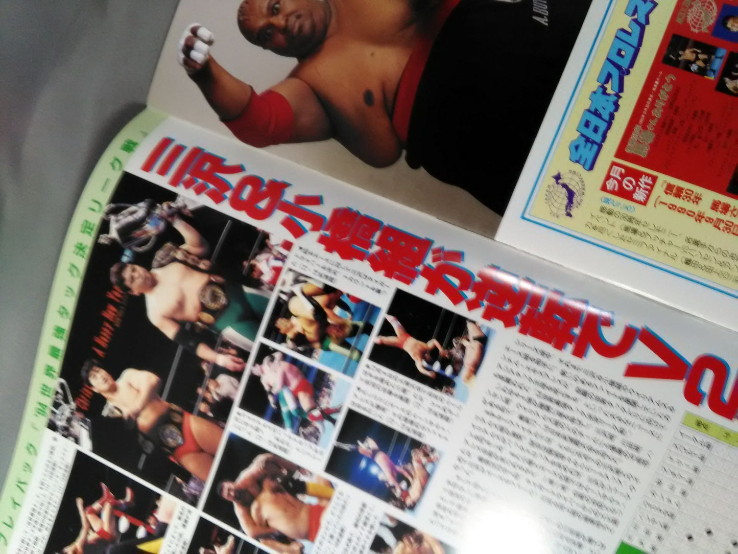 95 New Year Giant Series / Spring Festival