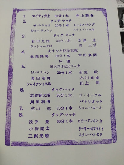 96 New Year Giant Series Yingchun