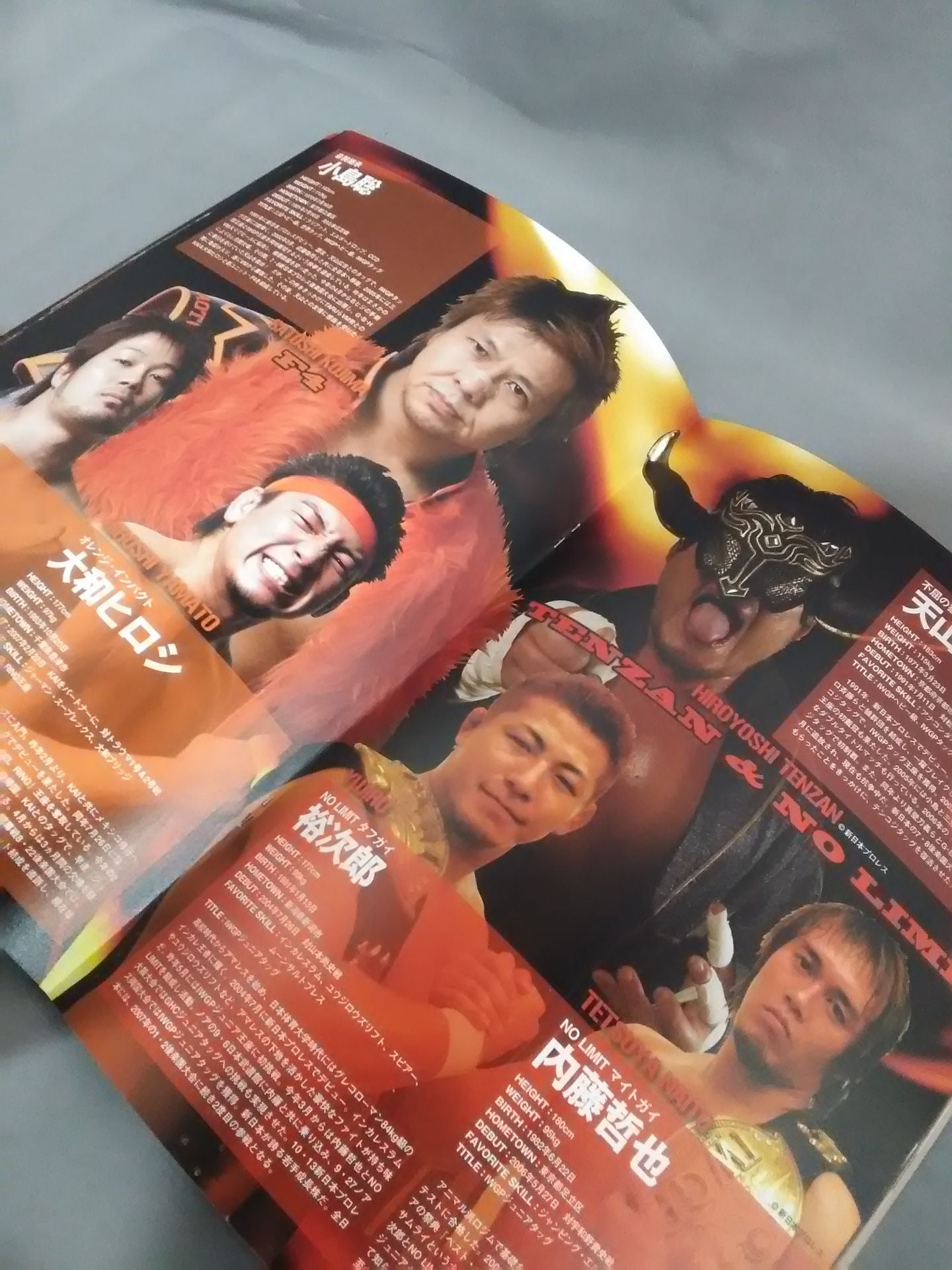 Pro Wrestling  LOVE in Ryogoku  vol.6