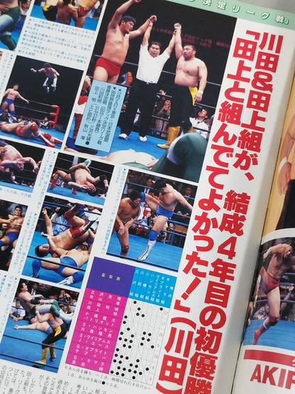 97 New Year Giant Series Yingchun