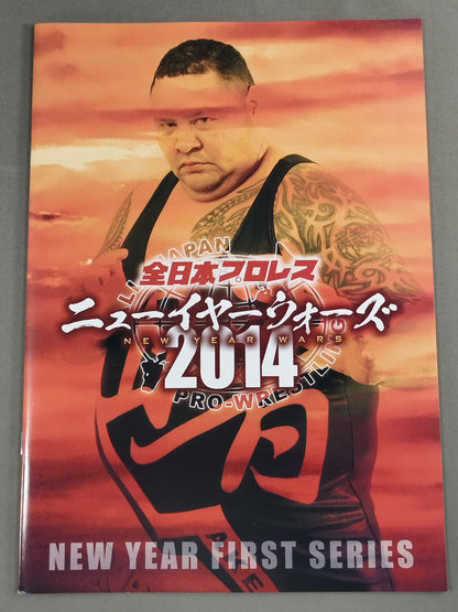2014ニューイヤーウォーズ