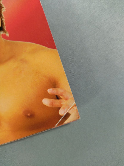 【3選手直筆サイン入り】2007新春シャイニング・シリーズ / 新春 SHINING SERIES