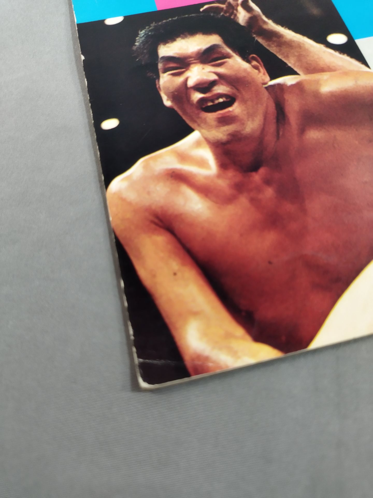 73ジャイアント・シリーズ結集戦