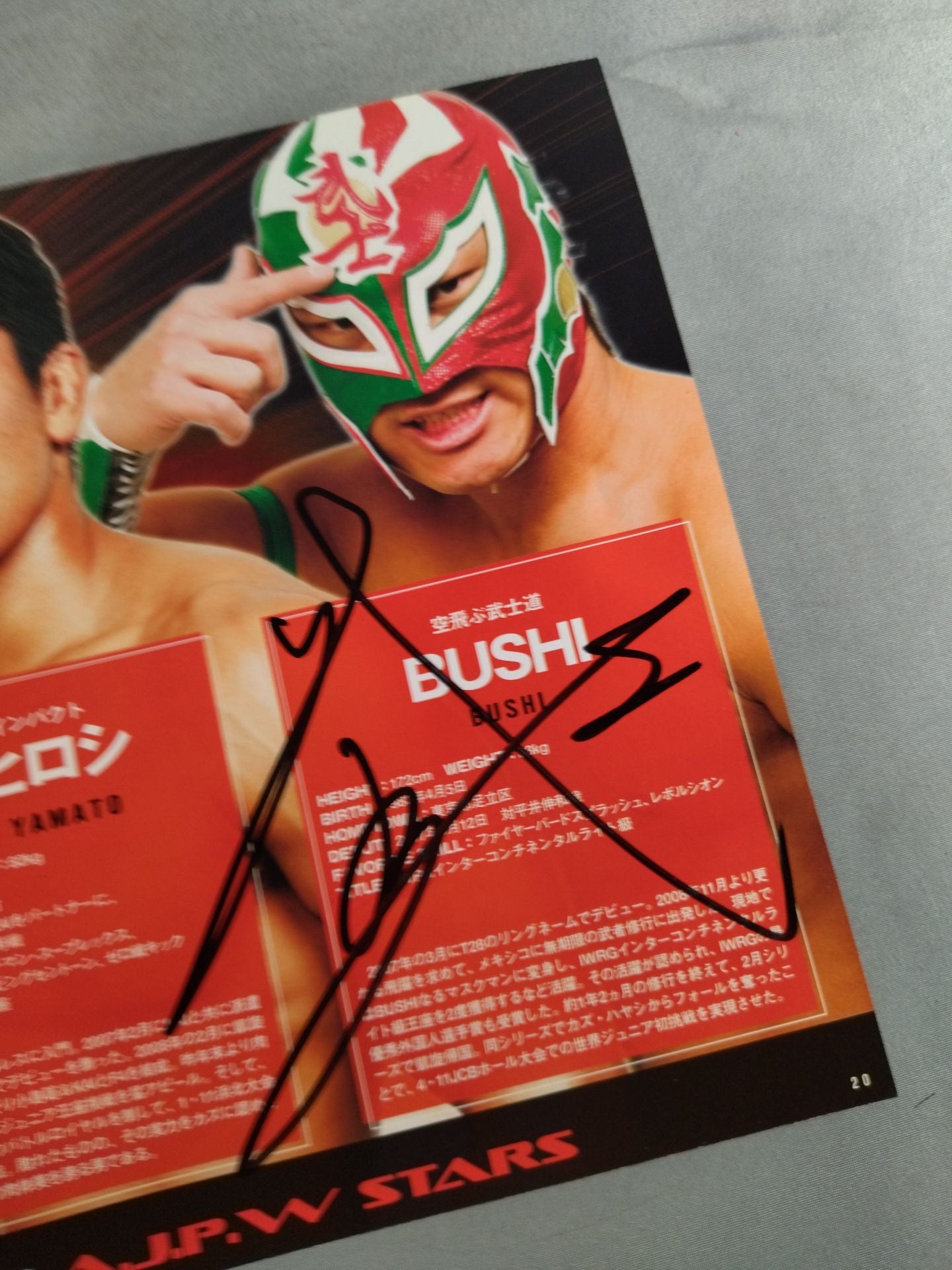 【BUSHI  hand signed autograph 】2010 Carnival of Champions