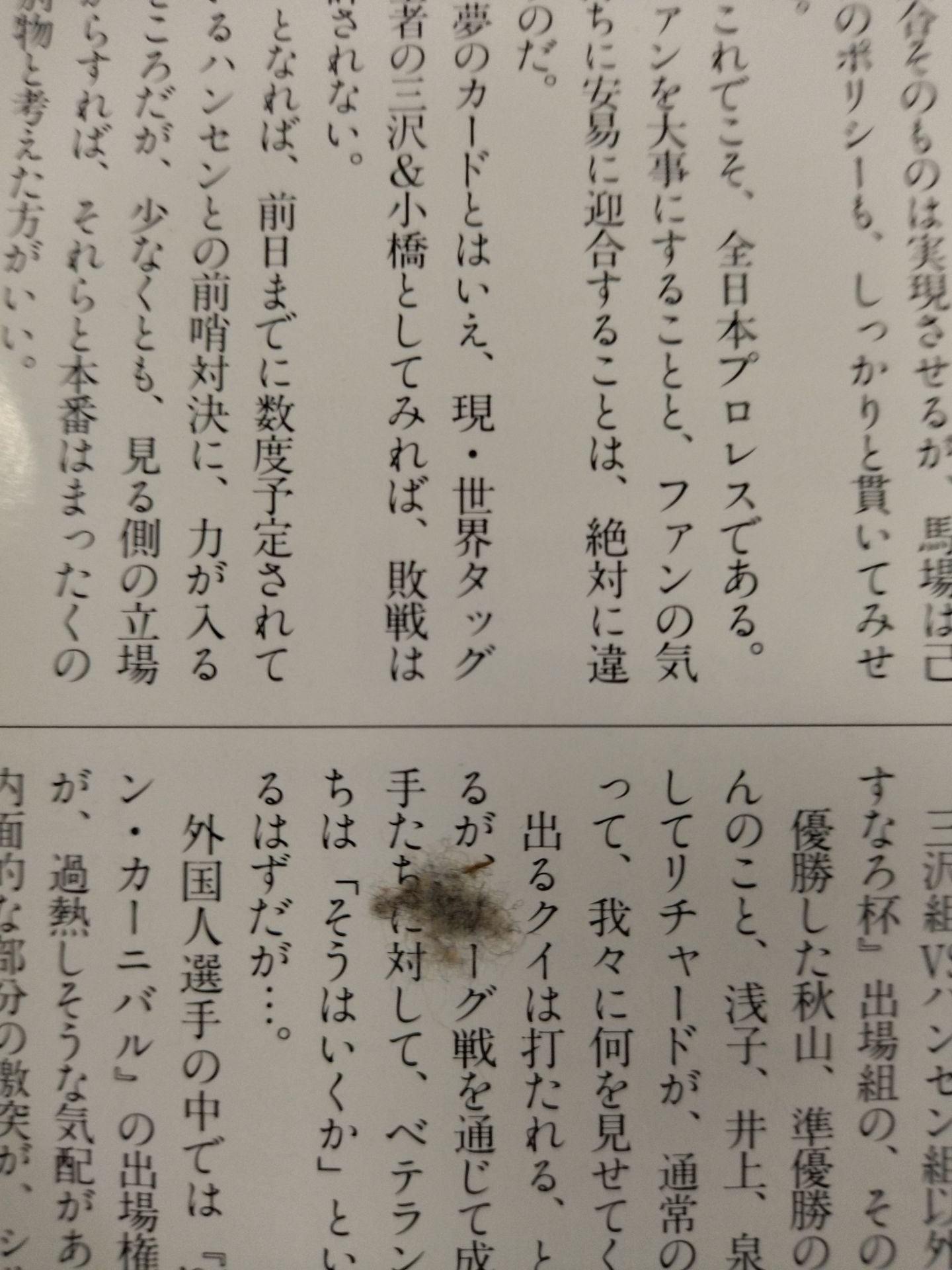 94エキサイト・シリーズ / 春一番